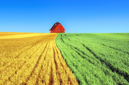 agricultural sciences major