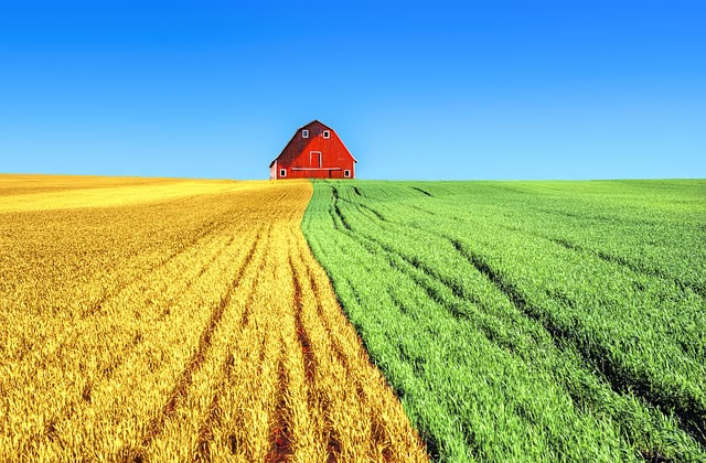 agricultural sciences major