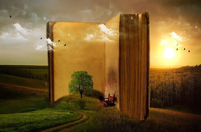 should read