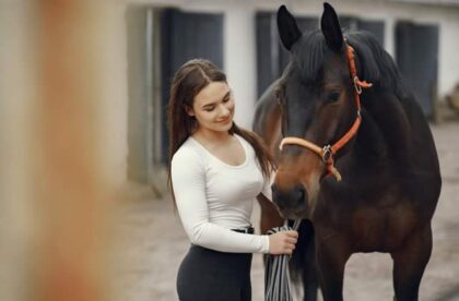 buying a horse