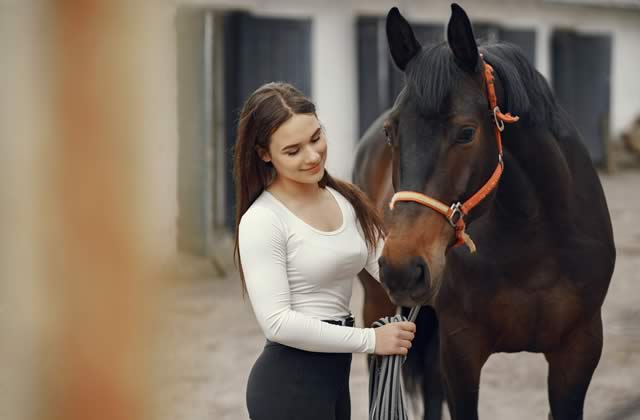 buying a horse