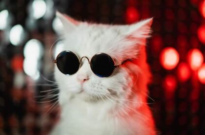ways to look cool on campus