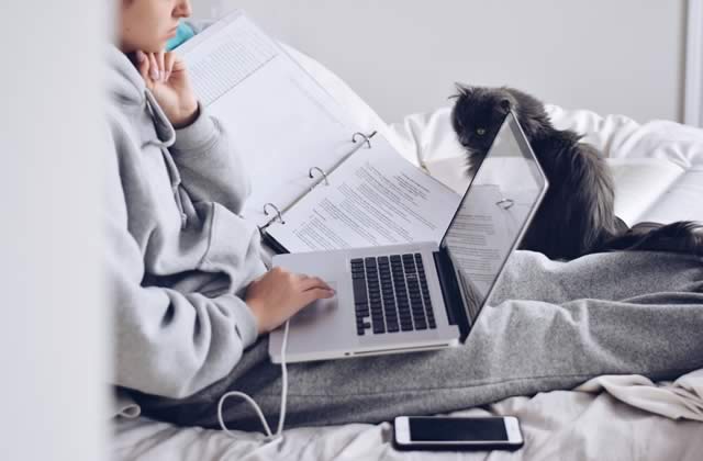 how online education makes testing secure