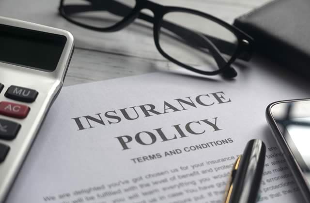 types of insurance you'll need
