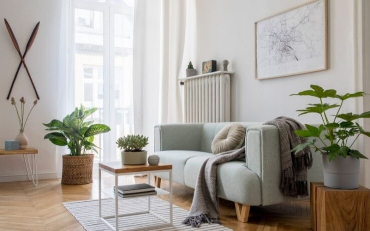 Ways To Temporarily Decorate Your Apartment