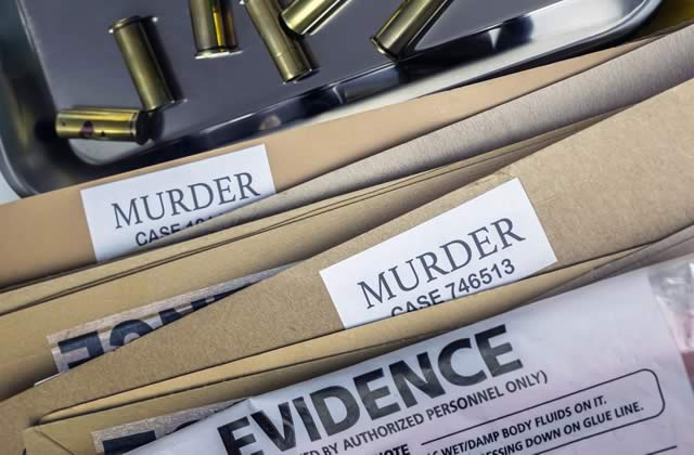 career in forensic psychology