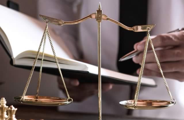 choose what type of lawyer to become