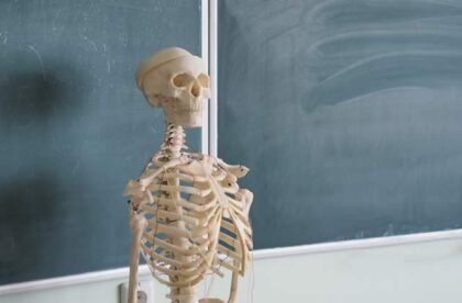 how best prepare yourself for medical school
