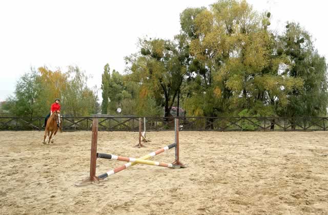 what are kid horse jumps used for