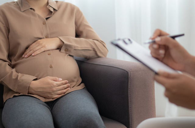A pregnant woman in a brown blouse and gray pants sits in a brown chair across from someone holding a clipboard.