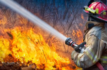 A firefighter stands in front of a large, active forest fire. They use a hose to spray water at the fire.