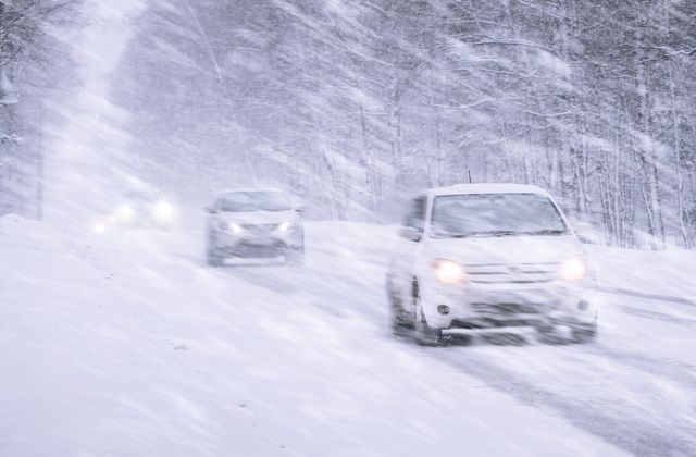 Multiple vehicles driving through a blizzard that is obscuring the road. Around the road are snow-covered trees.