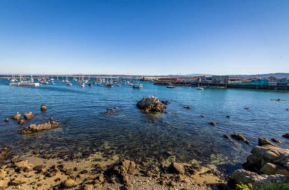 monterey mindset