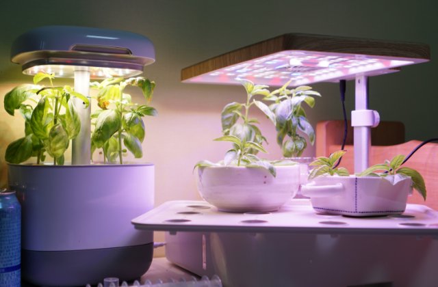 Indoor hydroponic garden systems with leafy herbs growing beneath LED lights on a tabletop, illuminating a compact space.